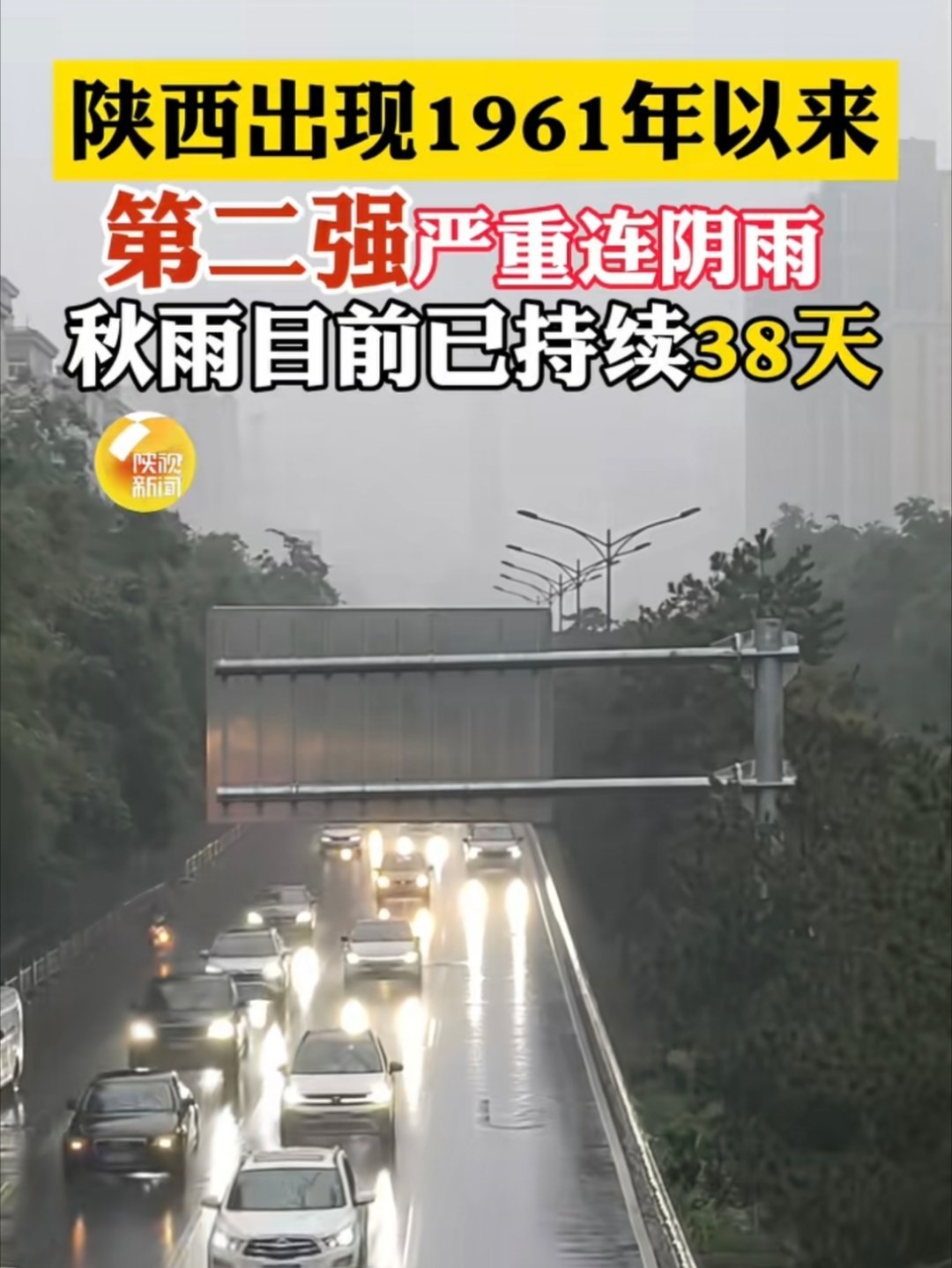 最近雨真多，你们天气哪里咋样？ ​​​