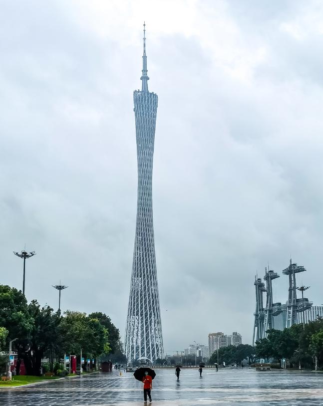 表妹双亲去世伤心过度，五一假期来我的城市散心，我想让她在我家借住，但是我婆婆却说
