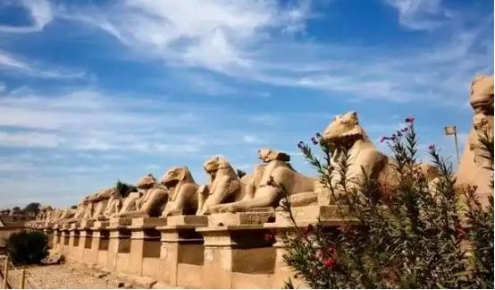 最近埃及那边出大事了，晚上9点所有商店必须关门，街灯全调暗，整个国家都暗下来了，