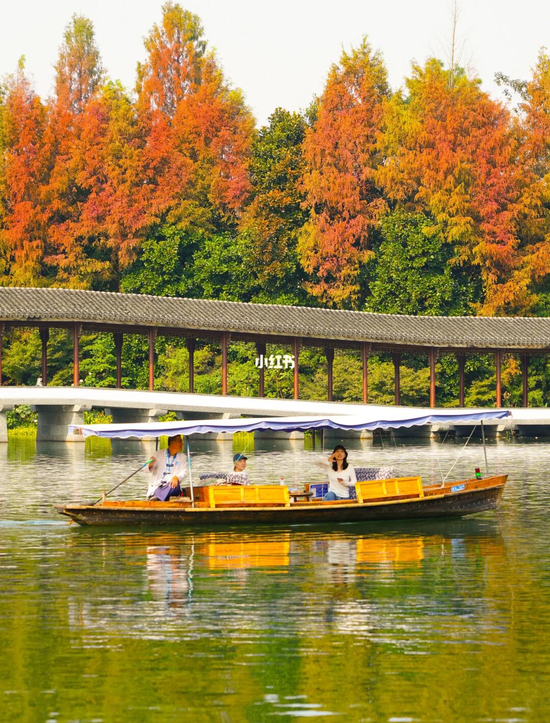 来杭州6年‼️还是爱这条西湖赏秋citywalk