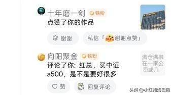 A500更好吗？（1）

我在和大家科普不能满仓满融持有1家或几家同质化企业时，