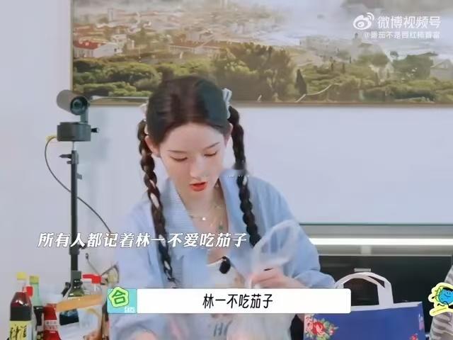 林一离开的第一天想他南法旅途风光正好，可地球团总觉得少了一人，大家牢牢记住林一不