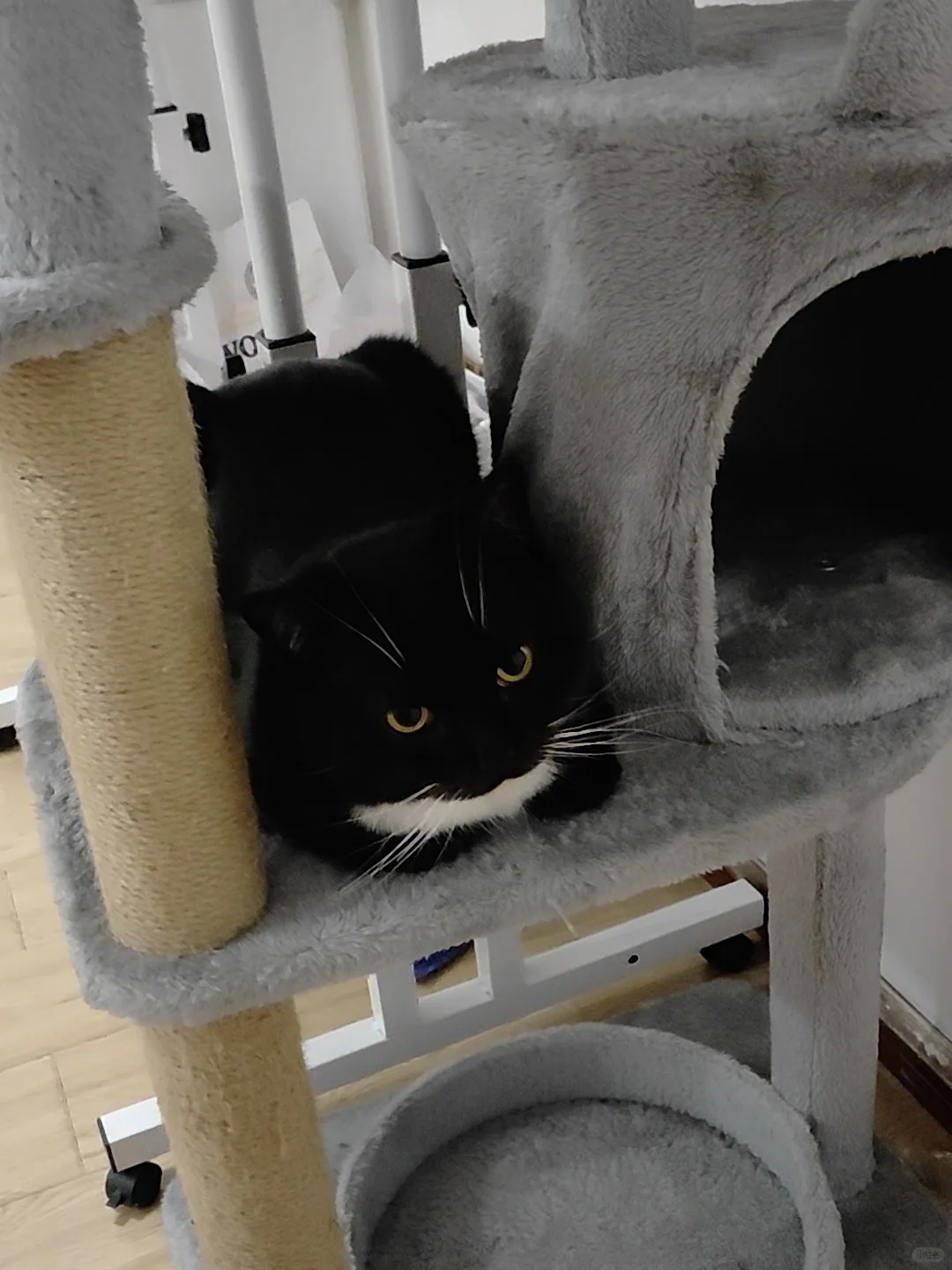 他的眉毛好像画上去的