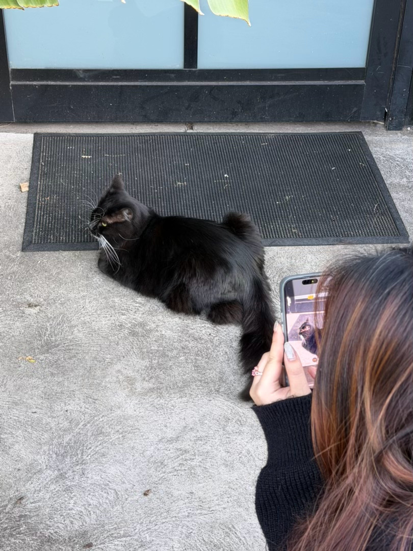 认真经营我们的屌丝生活