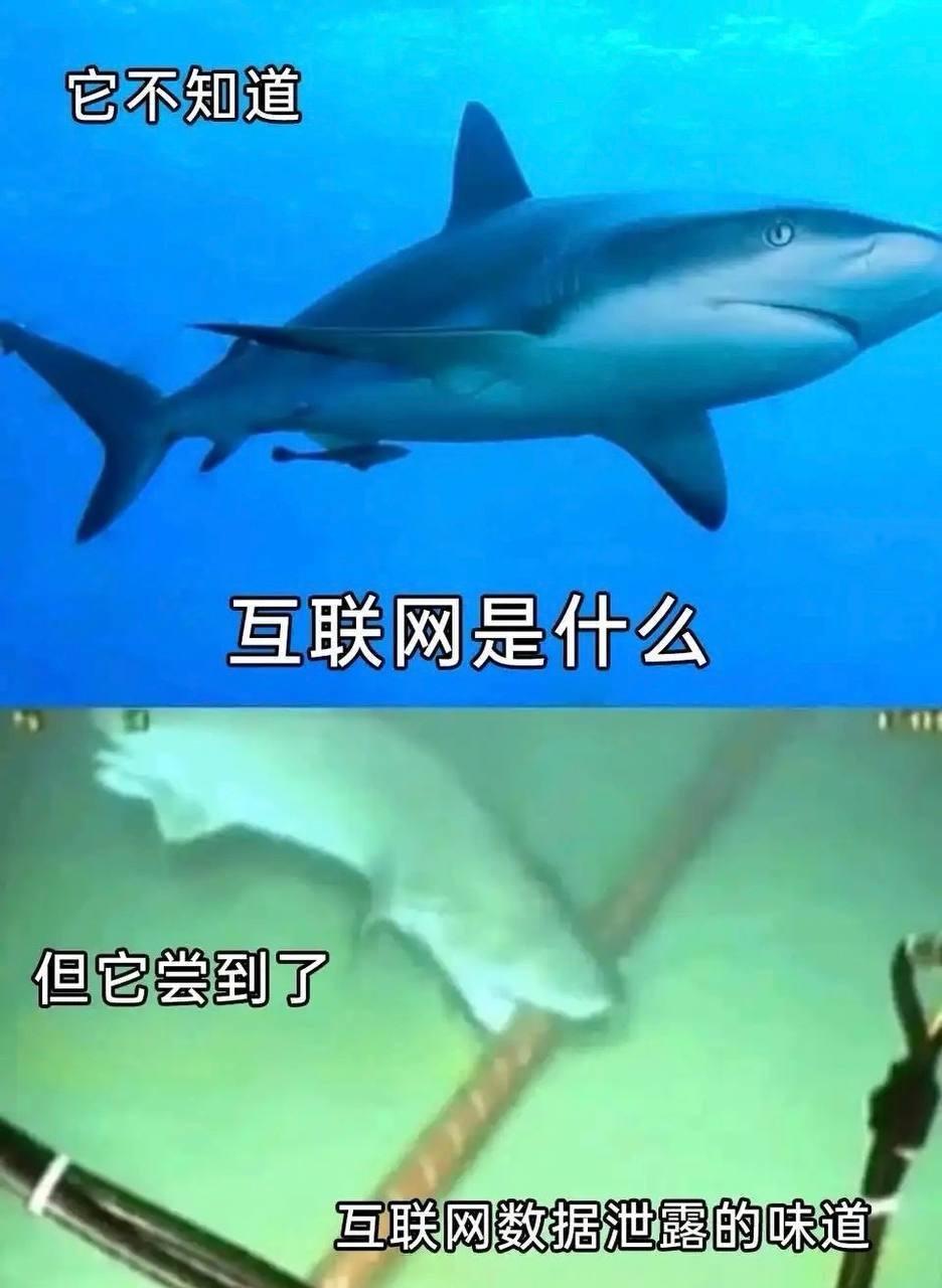 牙口真好，不对施工队出来挨打