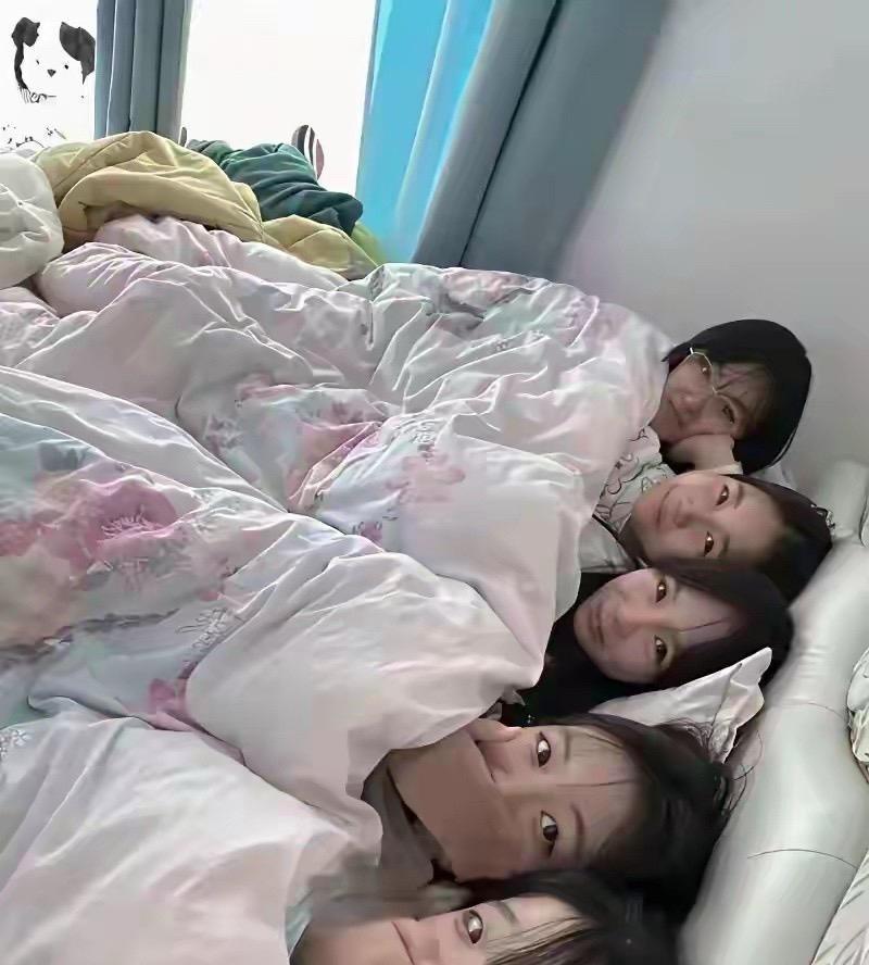 五个姐妹的日常