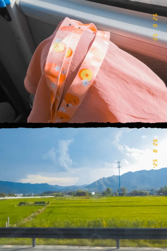 用half捕捉点最后的夏天
