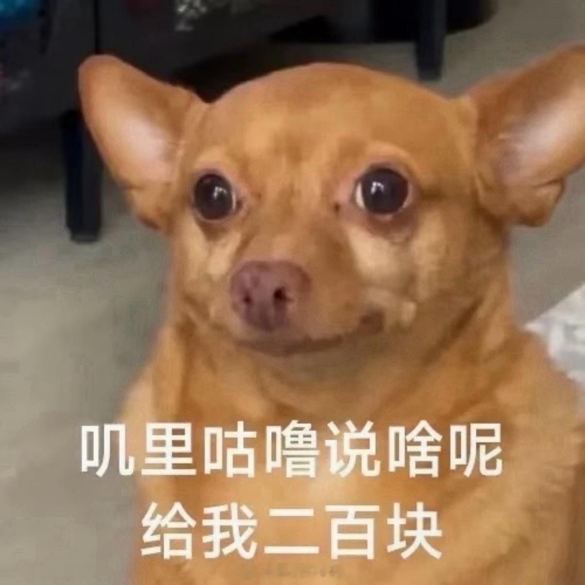 不废话！周五抽红包！「点赞+关注」抽3个小伙伴每人6.66元🧧明天就开！  抽