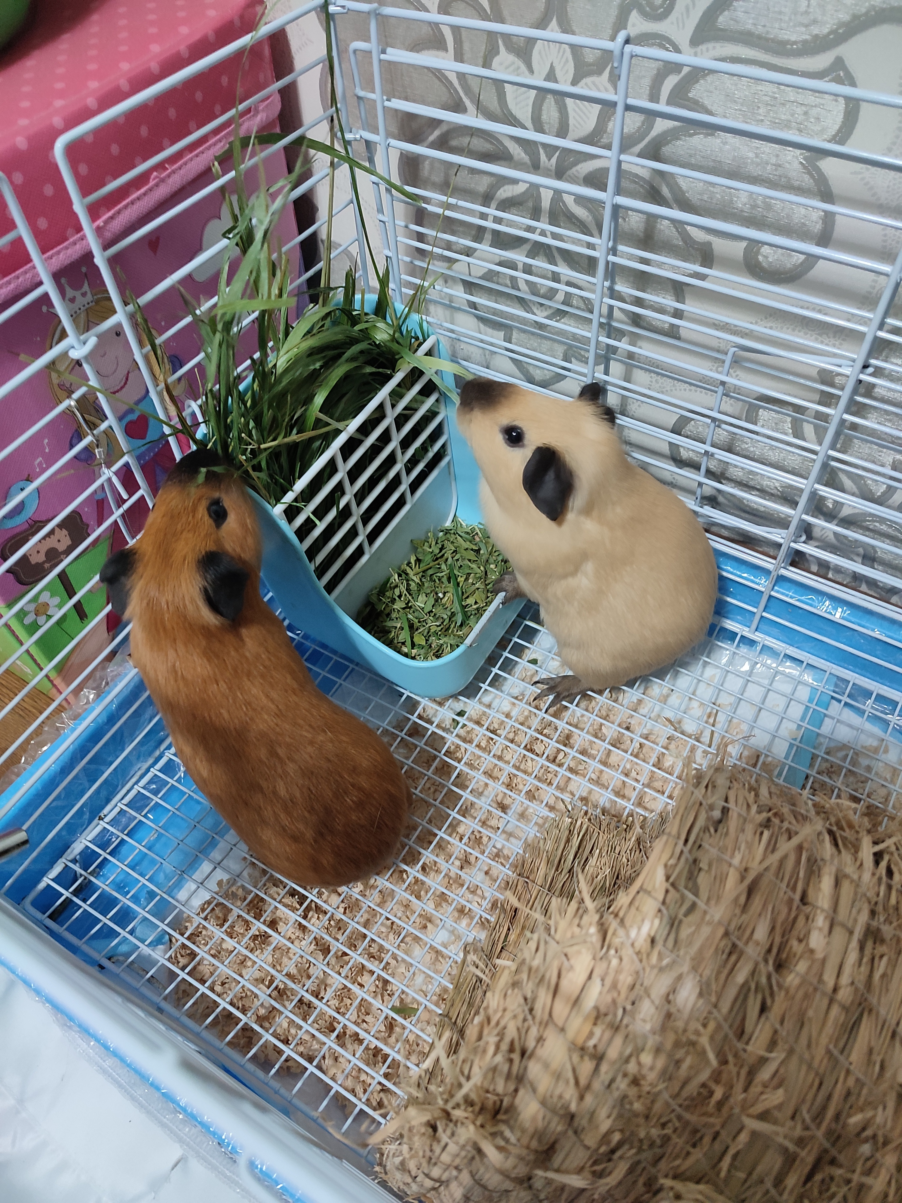 小时候可爱还是长大可爱？  ​​​