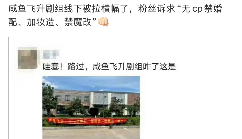 电视剧《咸鱼飞升》发生什么了？男主粉丝诉求无CP禁婚配，这是想一个人演了？加妆造