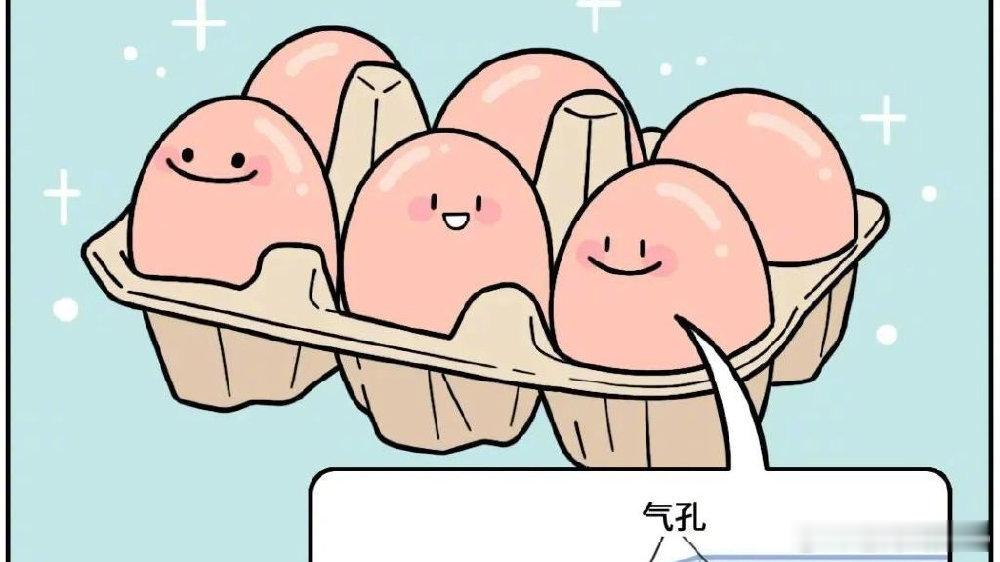 【#鸡蛋上最脏的东西可能被你吃了#】#不建议清洗鸡蛋后放冰箱# 鸡蛋最大的食用风