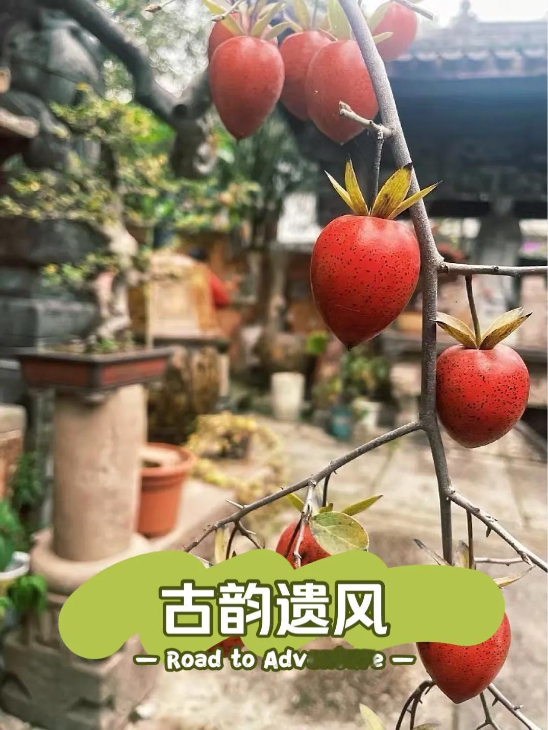 最近发现了一个超美的小众寺庙——金华浦江的龙潭古寺，真的太惊艳啦！🎉
🎑【寺