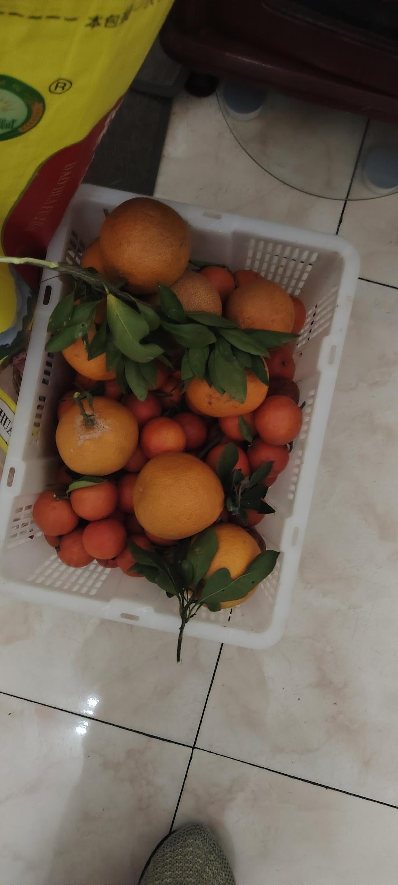 今天蔫巴了一整天。因为我发现堂弟生日（49岁生日），好多人都被请去吃饭了，他发了