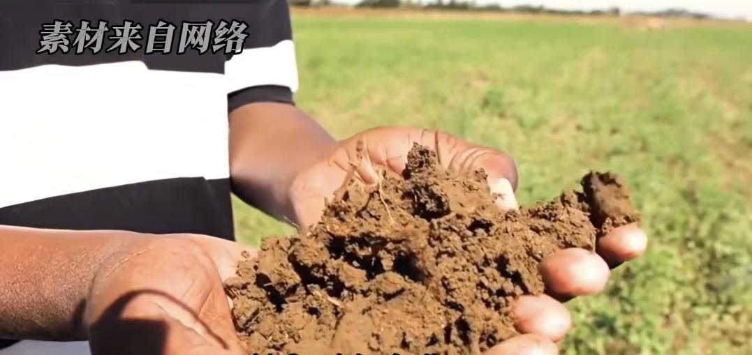 “为国入厕”阿三
政府花钱求国民上厕所，还专门设奖励，本来“为国如厕”的厕所革命