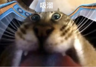 首页现在是个什么状态呢，就是这么个状态 ​​​