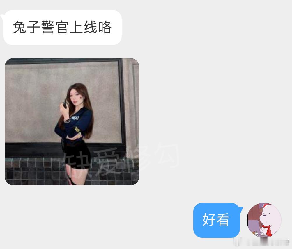 兔子警官上线咯 ​​​