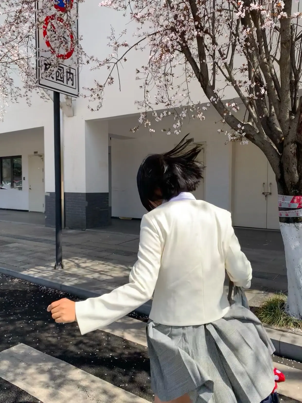  春天！好耶！ ₊𓄹⊹