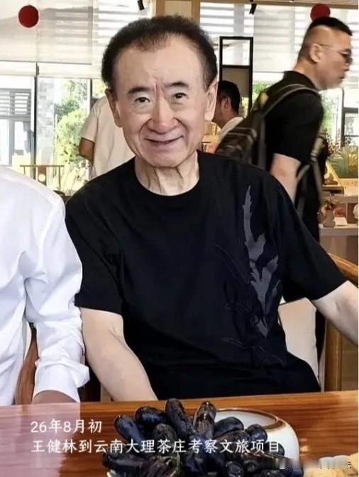 都说商场如战场，起起落落是常事。
最近，王健林还跑到云南大理茶庄考察文旅项目，看