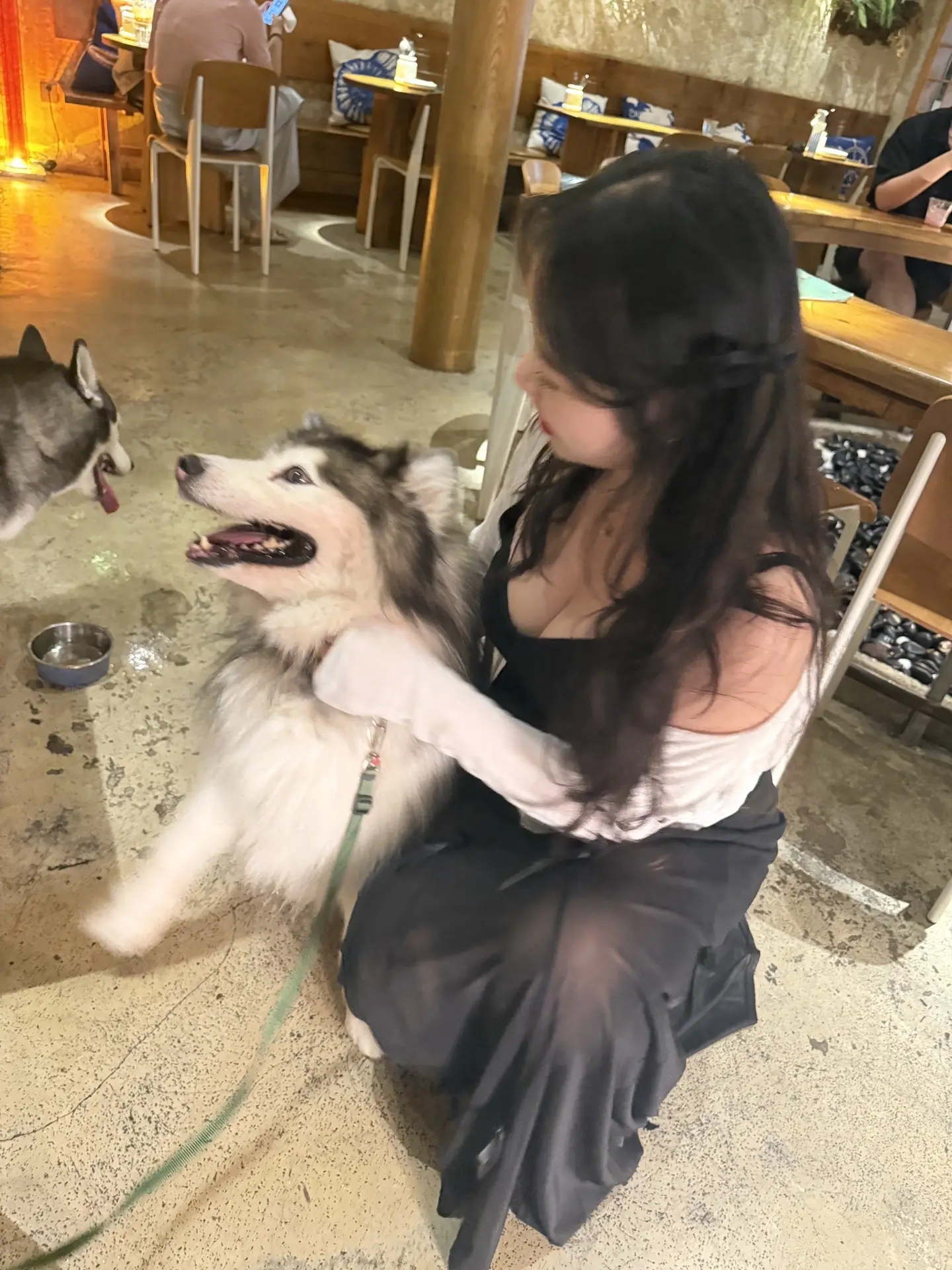 可它真的好可爱🐶