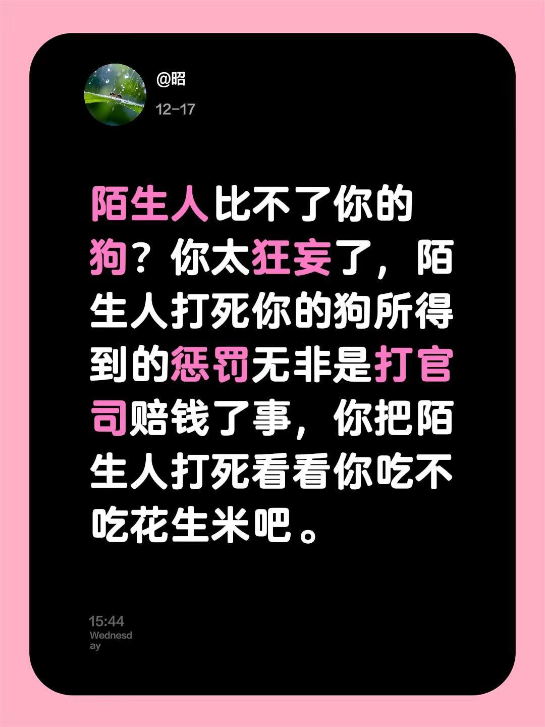 我评论了@昭 的作品：陌生人比不了你的狗？你太狂妄了，陌生人打死你的狗所得到的惩