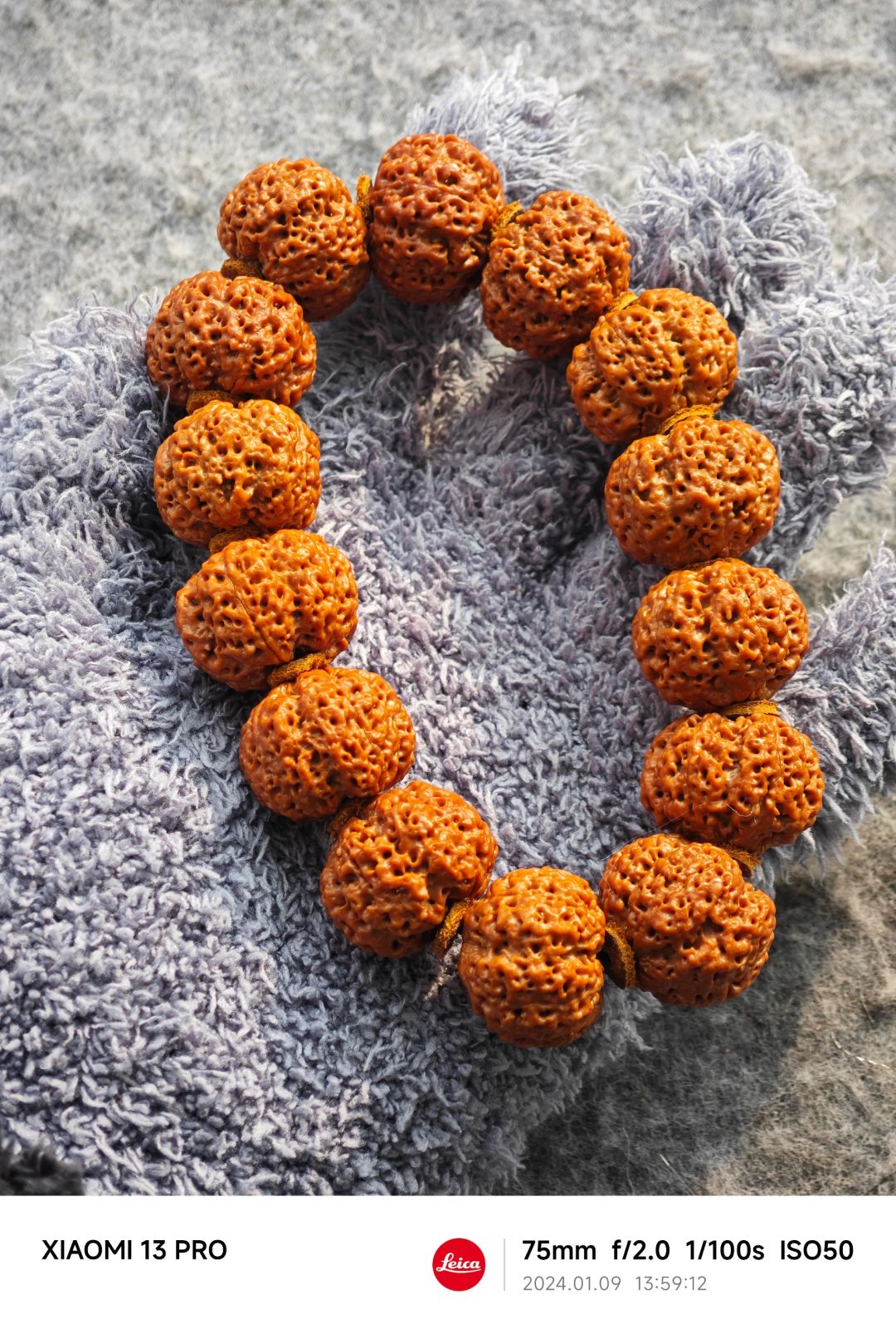 NO.357 小卡拉米有点想变色了