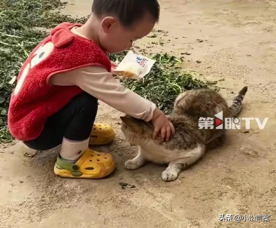 四川失踪2岁女童长得很可爱，她在家门口玩小猫不见已超5天，整个过程非常怪异。网友
