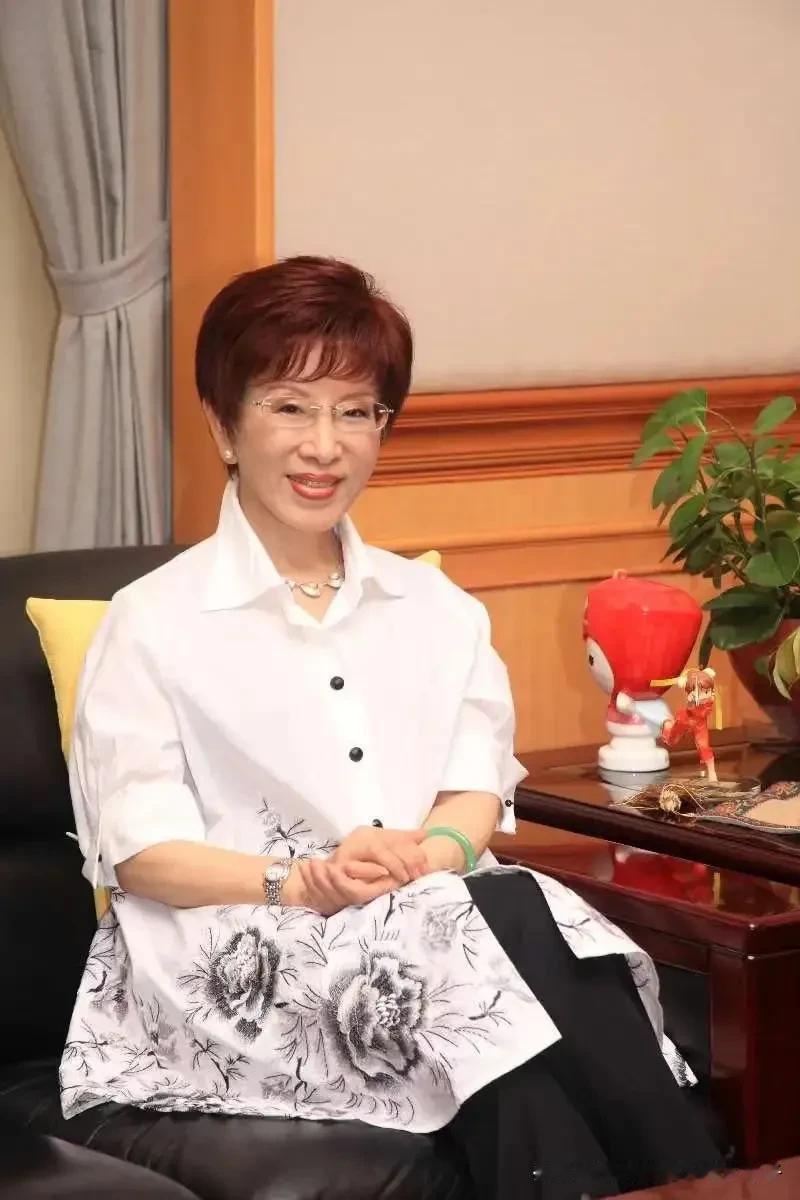 洪秀柱在深参观期间，还见到了来自台湾和香港的青年，与他们亲切交流，倾听他们在深圳