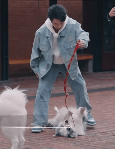 早上被小猫抱着起床，早上好[嘻嘻][嘻嘻][嘻嘻] 