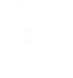 欧气爆棚，我在会员福利赏抽中了【传说】,点击抽星光羽毛：网页链接