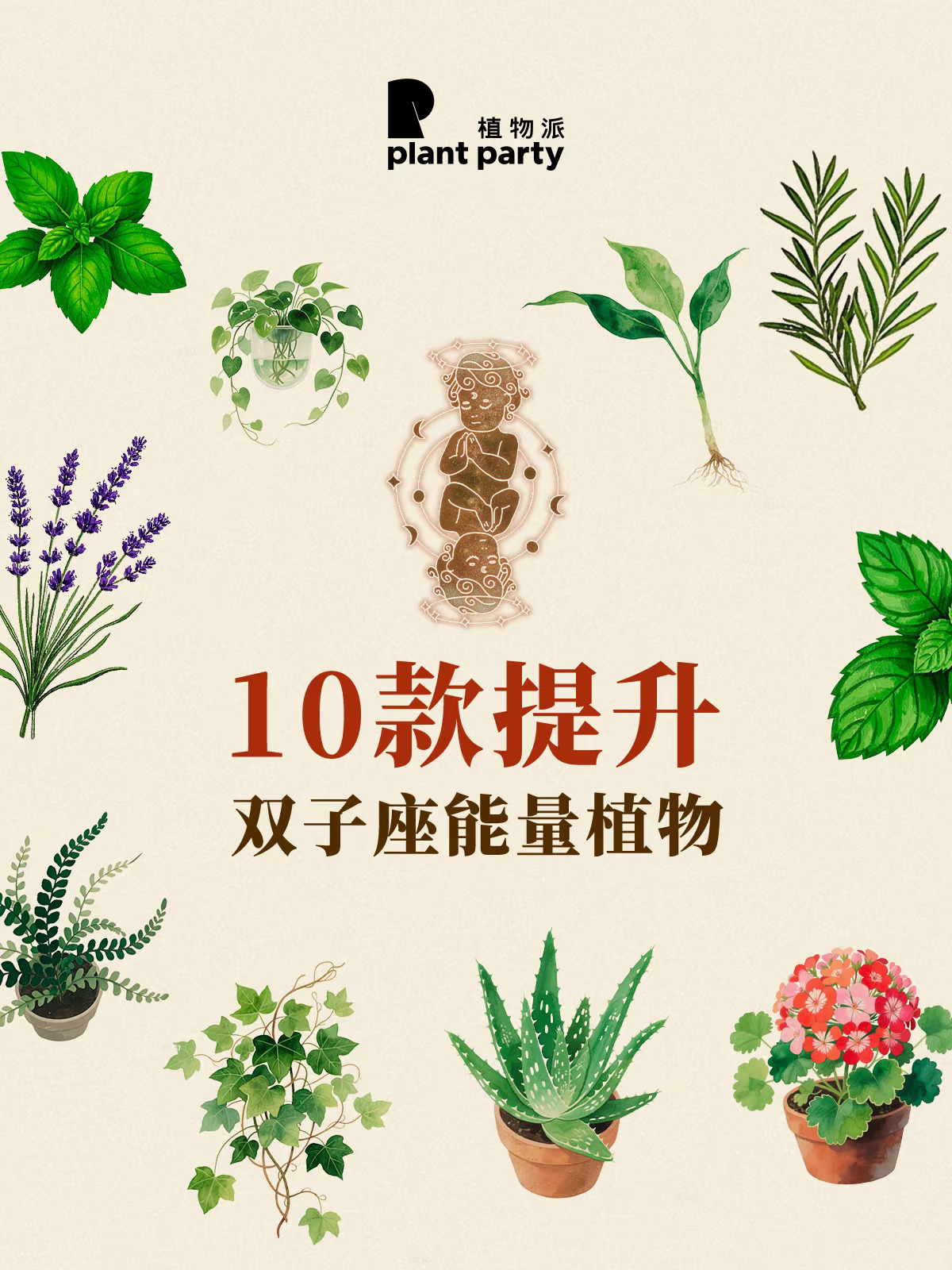 10种提升双子座♊能量植物🔥