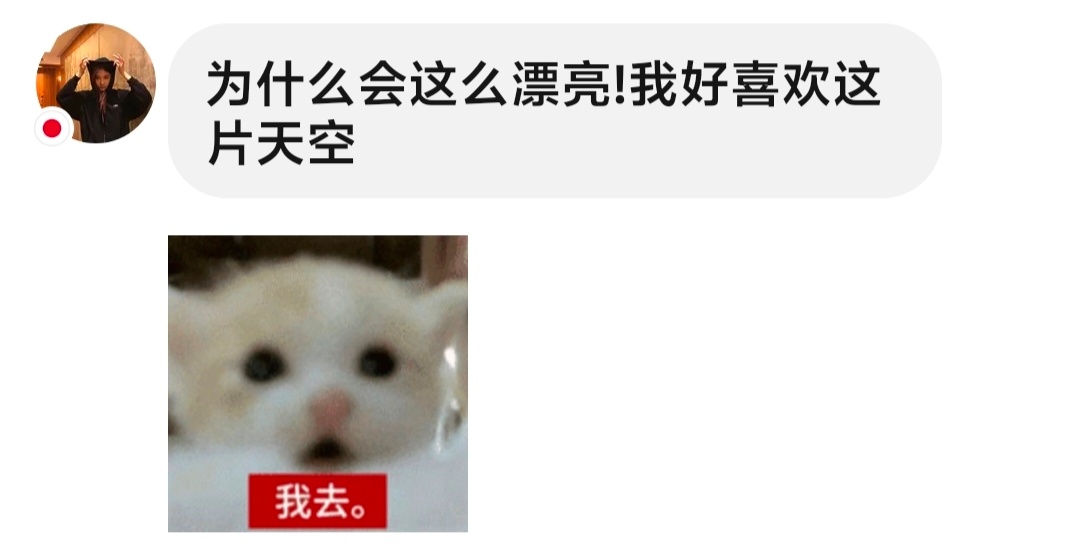 经常聊的一个樱花妹好爱用这个表情包www