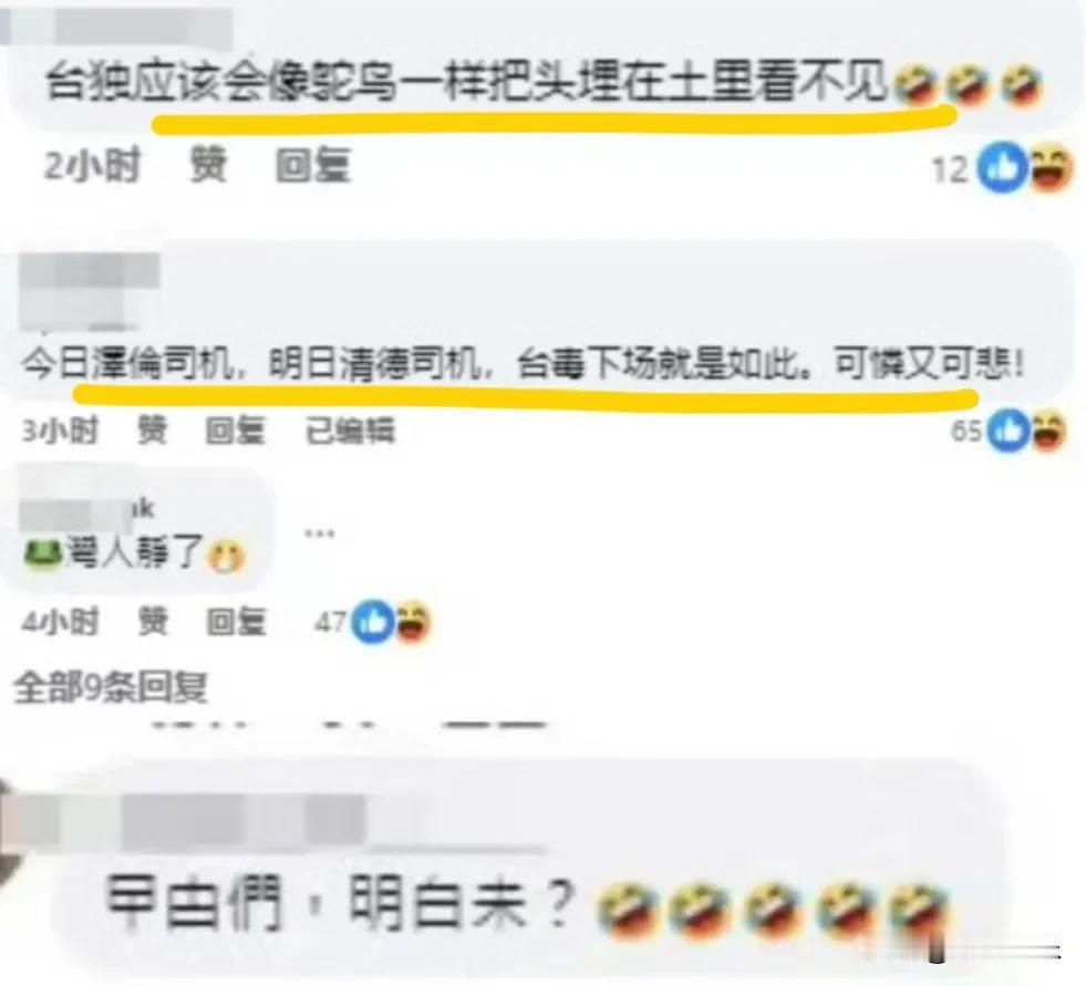 不知道台独看到今天白宫办公室的争吵，会是什么想法？

网友：他们应该会像鸵鸟一样