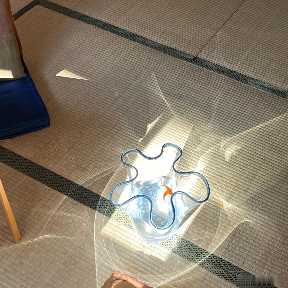双鱼座处理冲突的方式：先哭，再躲，再失眠三天写小作文。硬刚不是不会，是嫌累。能拖