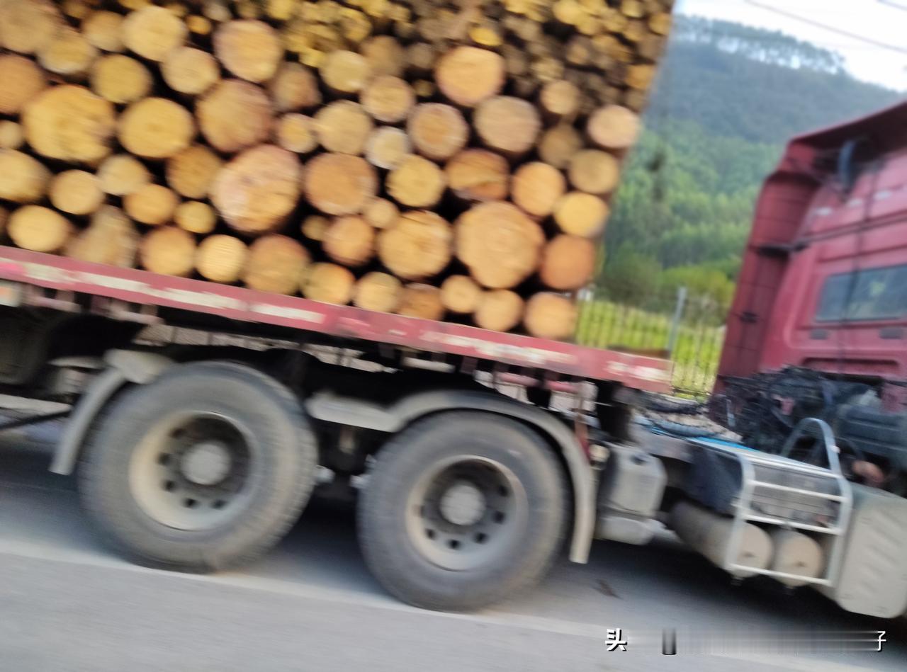 “十个司机九个嫖”这句话对吗？在我们家乡，一般父母不愿意让自己的女儿嫁给长途司机