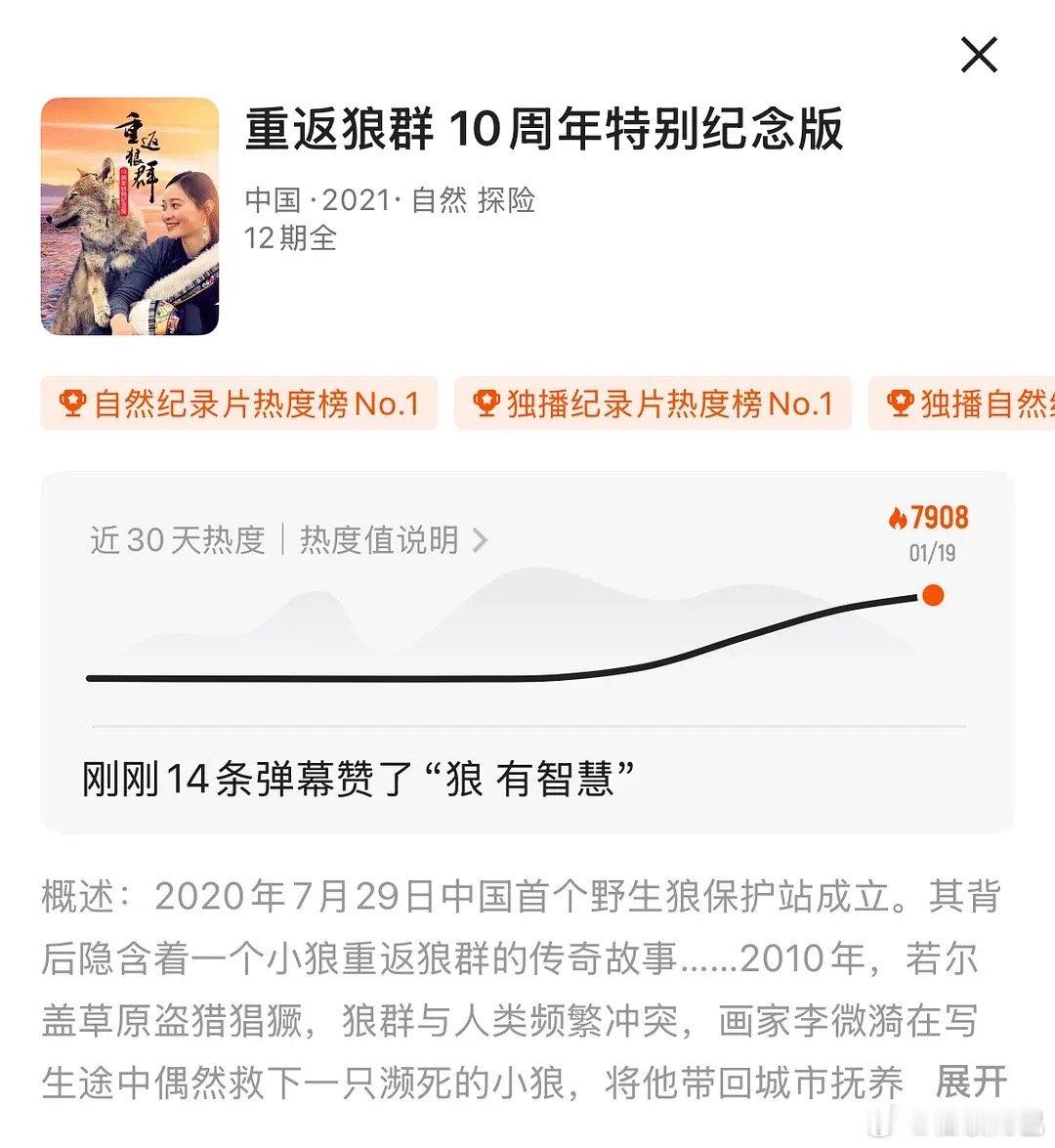 重返狼群在👖的热度已经快8k了 