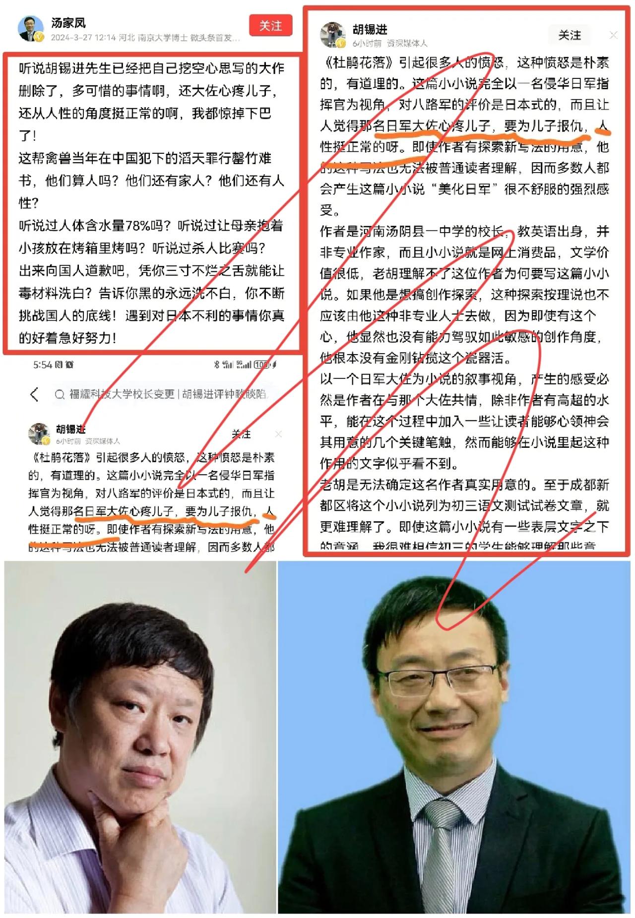 汤家凤博士“炮轰”胡锡进：删除大作痛惜不已，为日本罪行洗白，国人底线不容挑战

