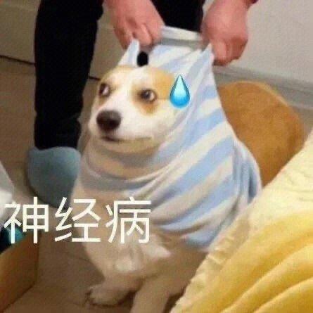 啊啊啊啊这个世界是不是卡bug了啊，为什么这么不正常我热水器坏了，叫了个上门维修