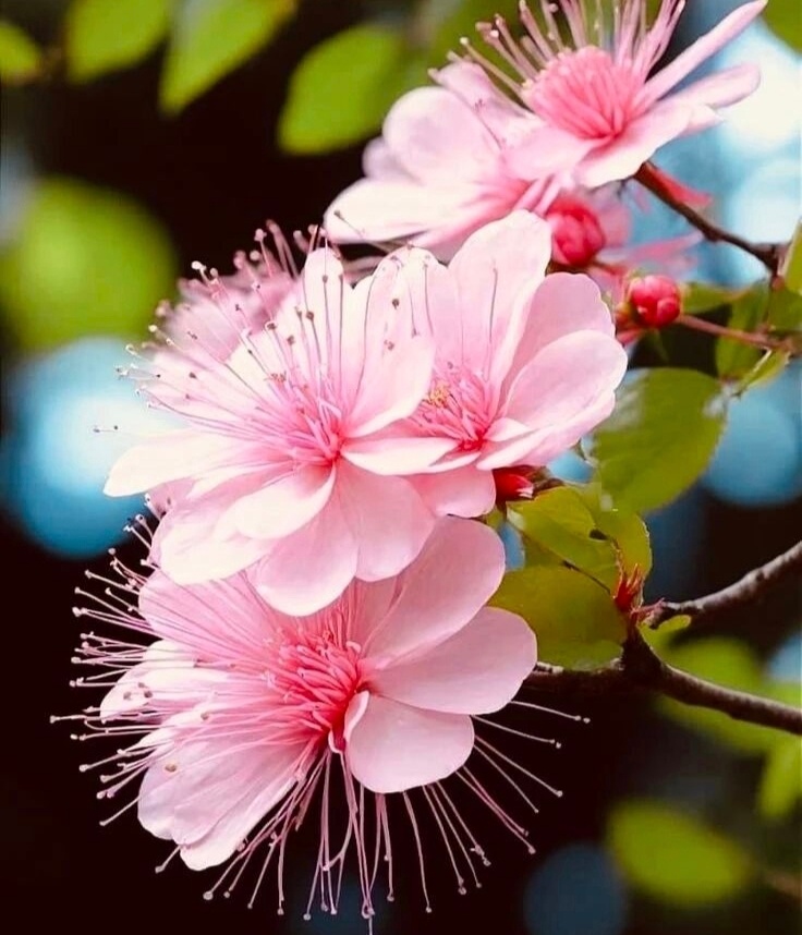【心田种春风，人生自繁花】心态好，命就好风水轮流转，心态定乾坤。眉间放一字"宽"