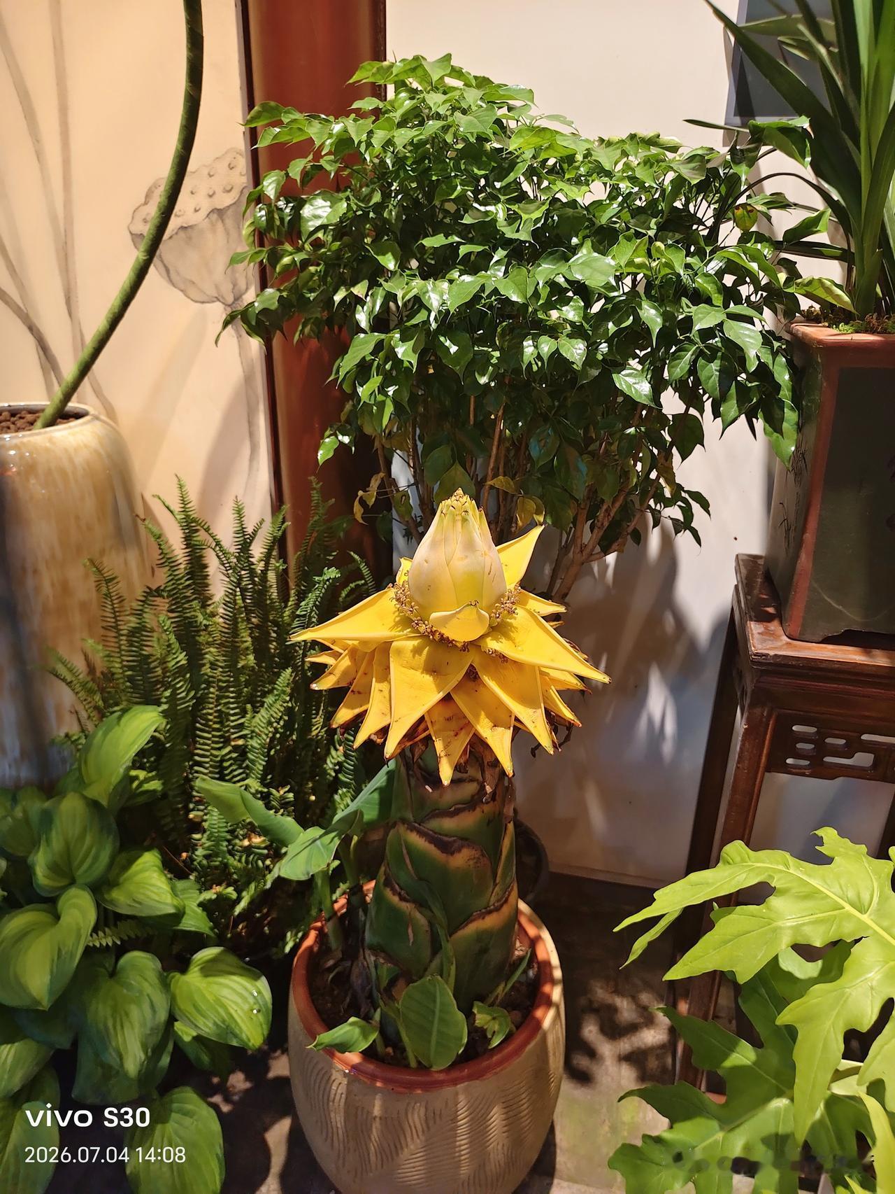 夏日生活打卡季