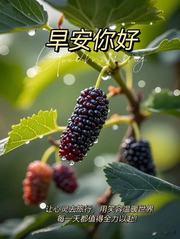 新的一天，照顾好自己，开心最重要。