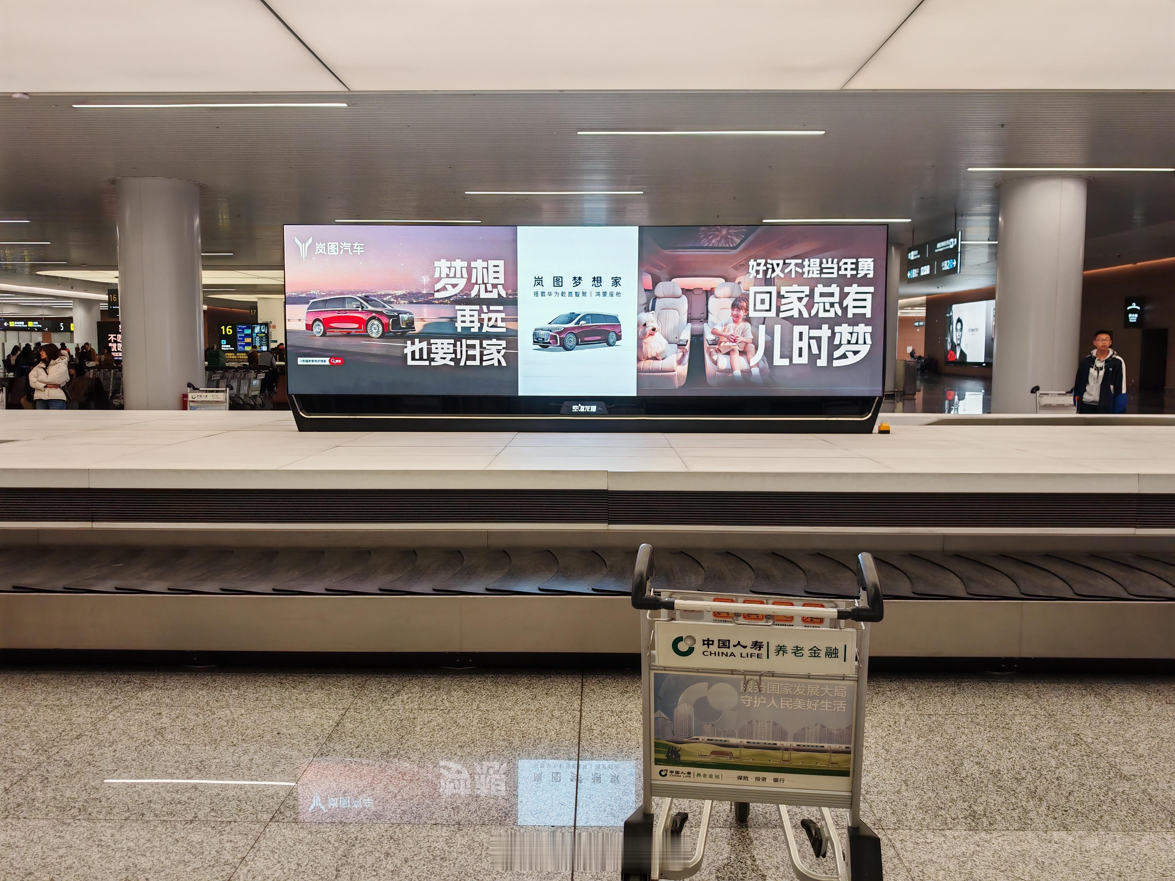 你拼搏的故事，不必说与全世界听。这一段回家的路，岚图懂你。为梦想，也为家。岚图梦