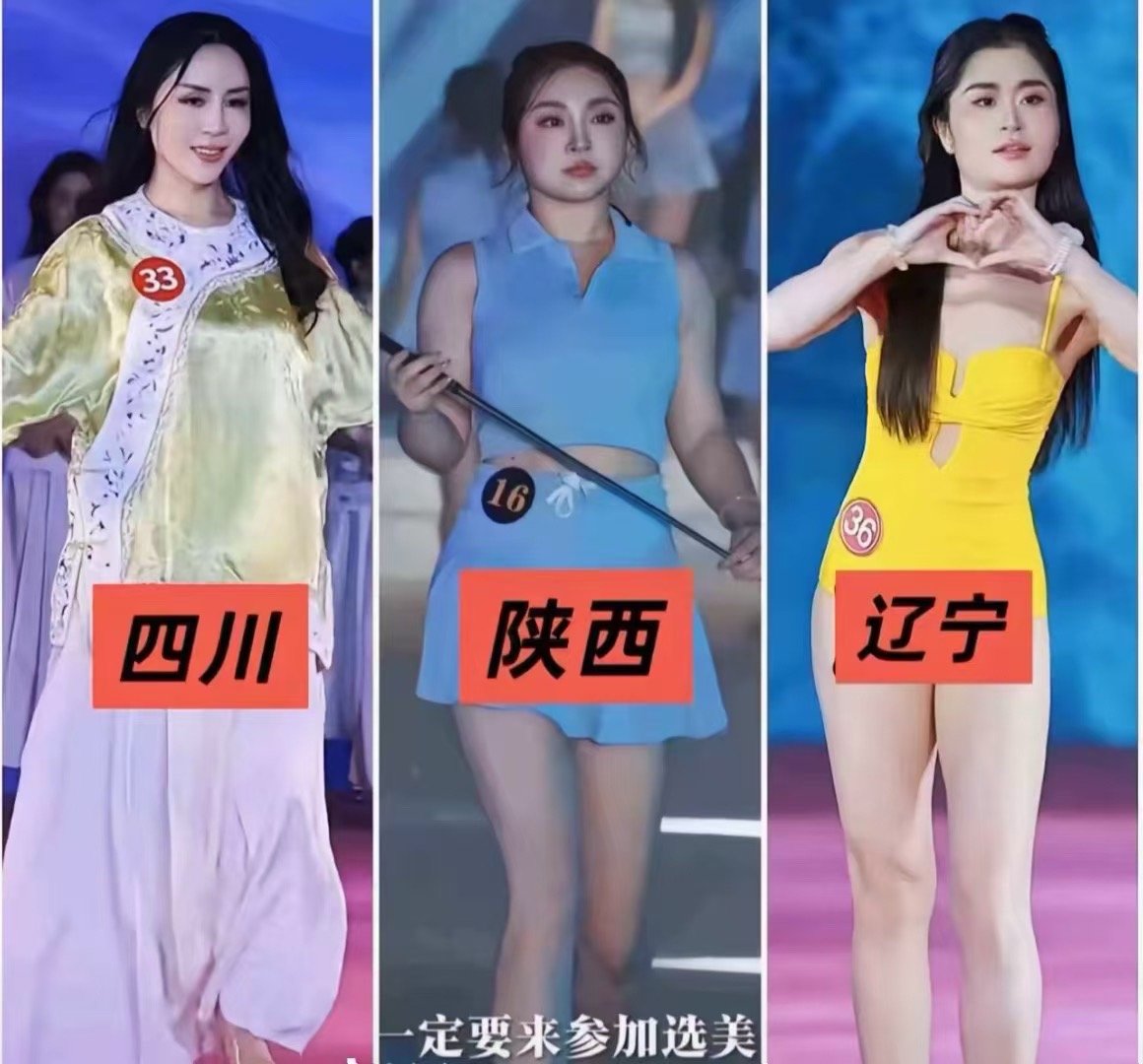 中华小姐区域冠军分别是这几个地方[doge] ​​​