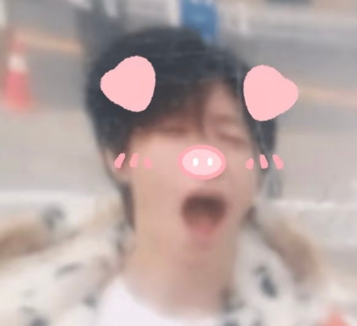 小呆猪 ​​​