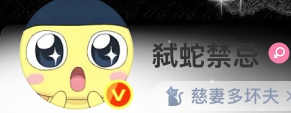 慈妻多坏夫