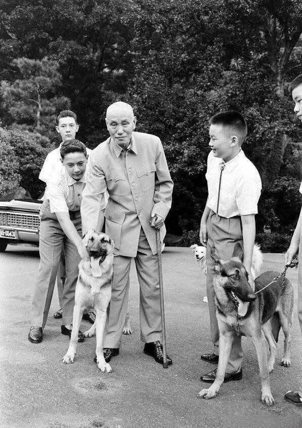 大家能说出几位小小蒋的名字呢？

小小蒋们的颜值都很高啊，也遗传了爷爷的板正身材