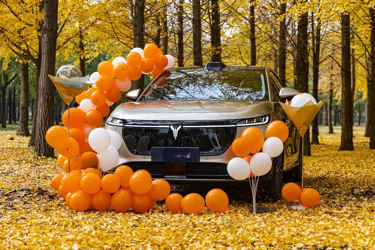 谁说提车只能在 4S 店？岚图汽车这波秋日限定操作太戳心！在满是金黄的银杏大道上