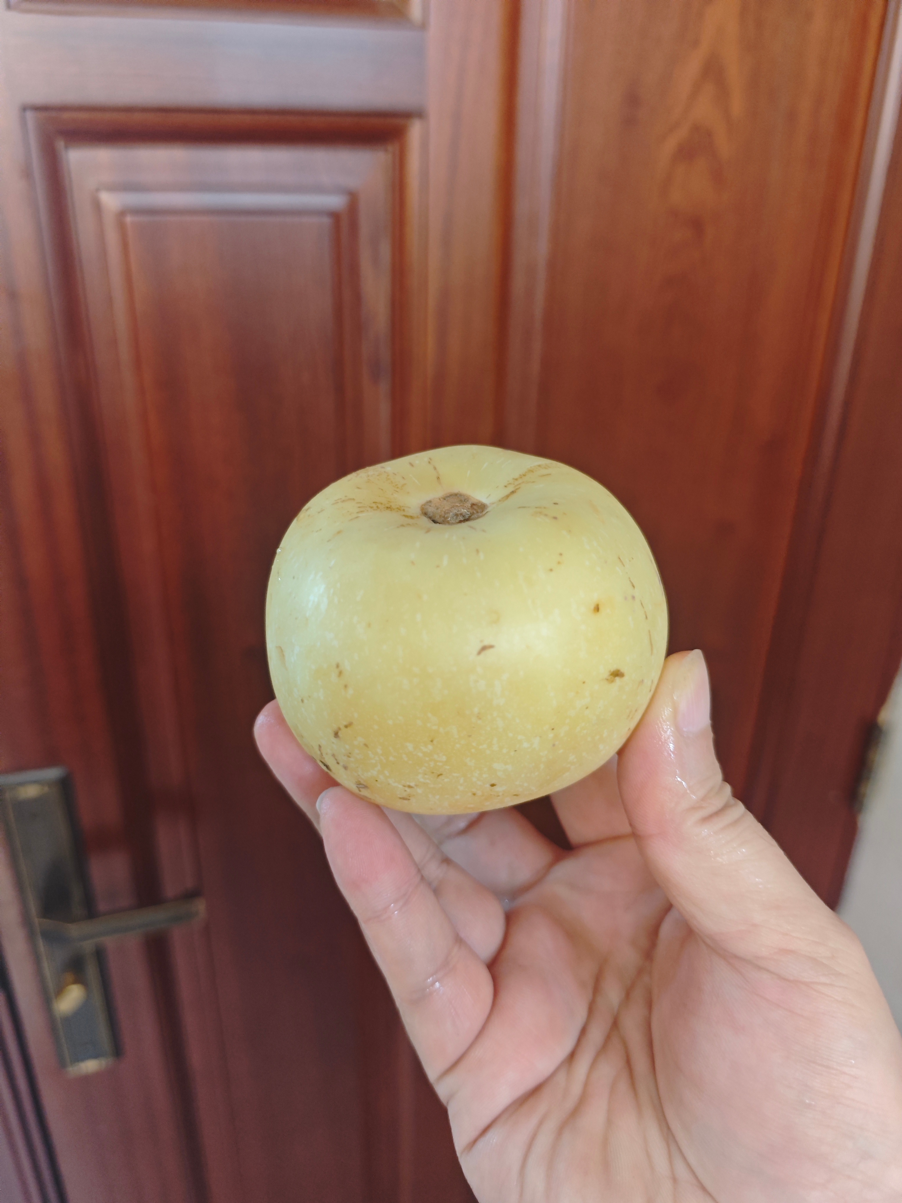 这种水果我还是第一次吃！ 