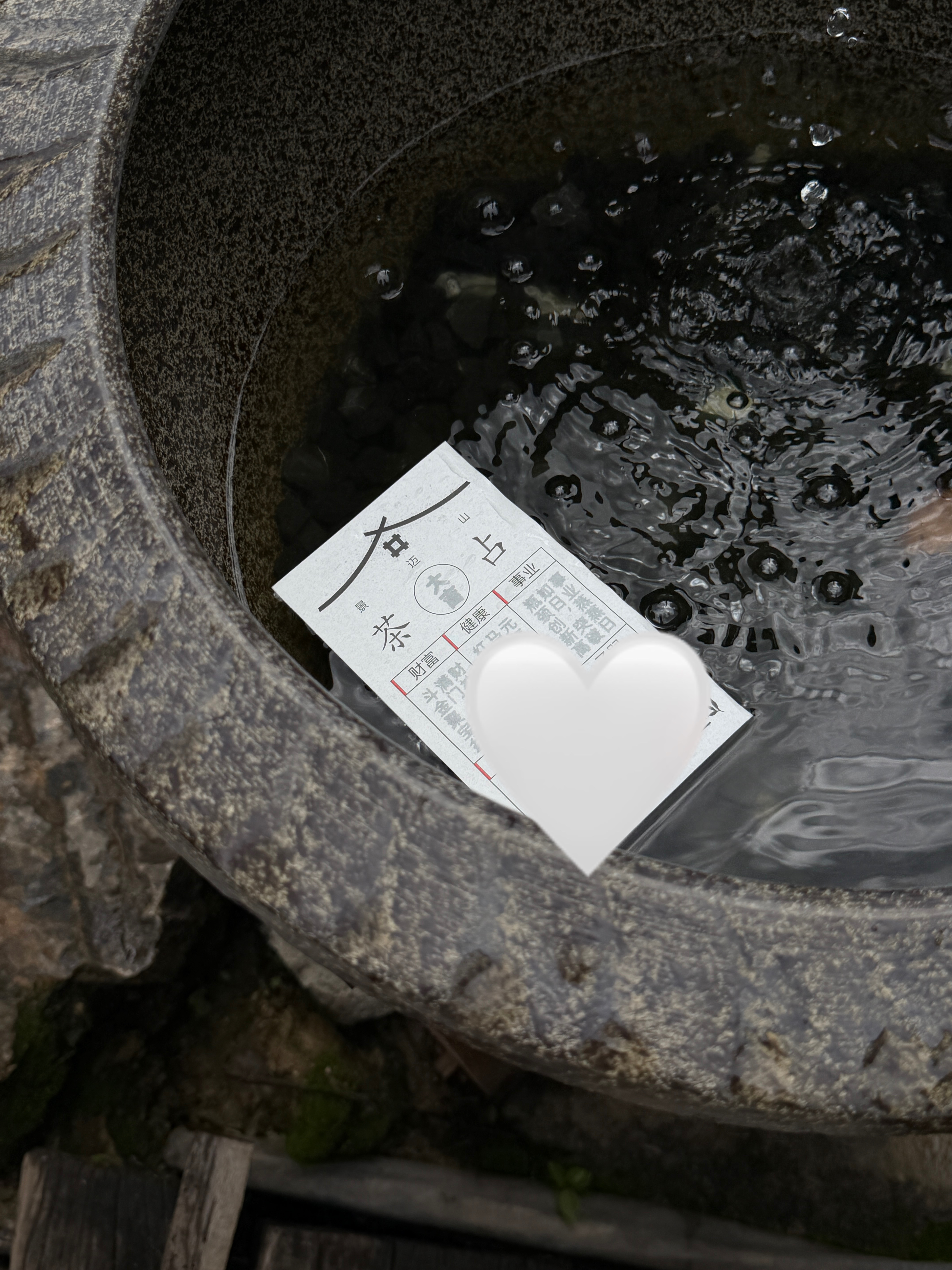 ：好像在做梦！ 普洱·普洱景迈山古茶林景区