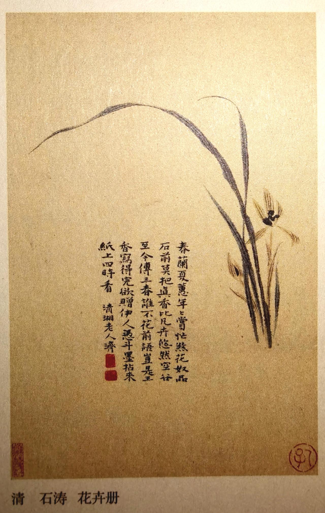 这幅小品画，简洁明晰，多生意趣，画的是春兰，几枝伸长的苗子长短不一，最长的那条苗