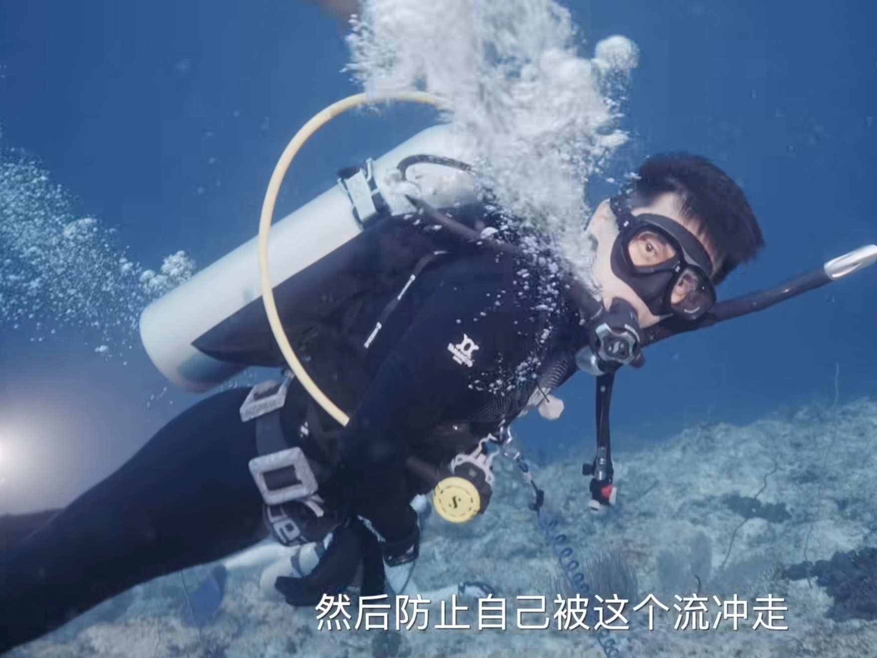 李现潜水第一次看到鲨鱼 感觉要跟不上现哥出vlog的速度了，真是挑战各种极限啊！